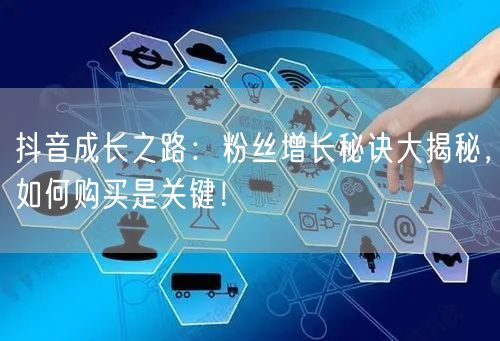 抖音成长之路：粉丝增长秘诀大揭秘，如何购买是关键！