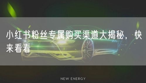 小红书粉丝专属购买渠道大揭秘，快来看看
