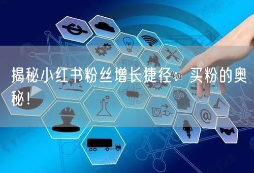 揭秘小红书粉丝增长捷径：买粉的奥秘！