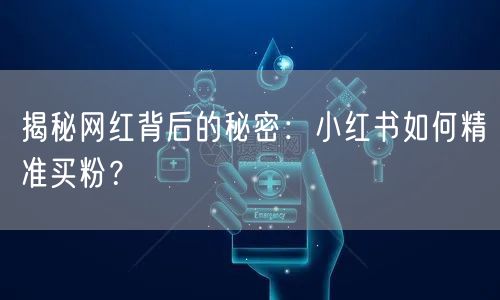 揭秘网红背后的秘密：小红书如何精准买粉？