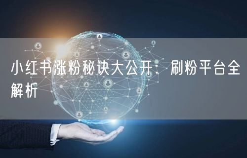 小红书涨粉秘诀大公开：刷粉平台全解析