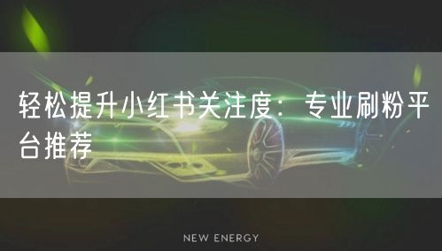 轻松提升小红书关注度：专业刷粉平台推荐