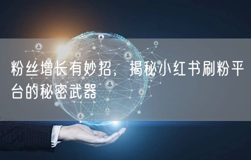 粉丝增长有妙招，揭秘小红书刷粉平台的秘密武器