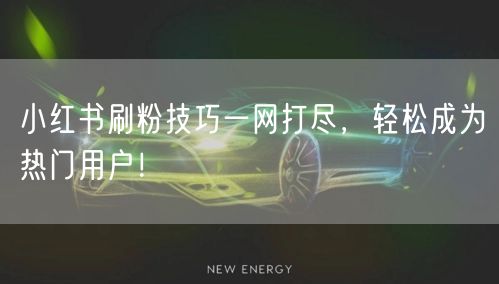 小红书刷粉技巧一网打尽，轻松成为热门用户！