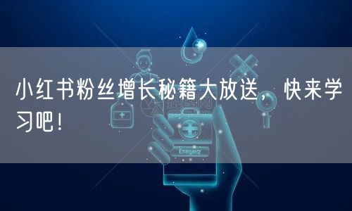 小红书粉丝增长秘籍大放送，快来学习吧！