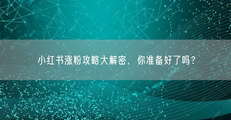 小红书涨粉攻略大解密，你准备好了吗？