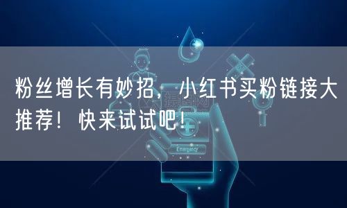 粉丝增长有妙招，小红书买粉链接大推荐！快来试试吧！