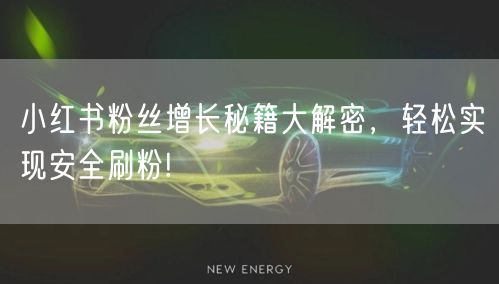 小红书粉丝增长秘籍大解密，轻松实现安全刷粉!