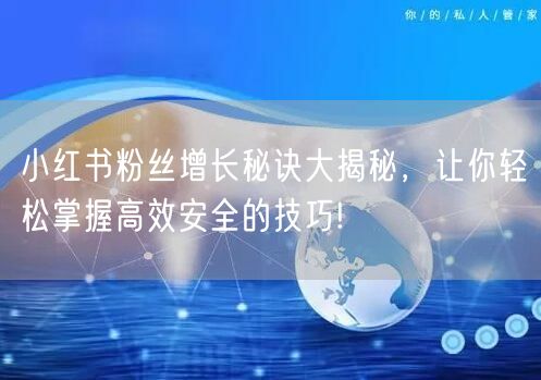 小红书粉丝增长秘诀大揭秘，让你轻松掌握高效安全的技巧!