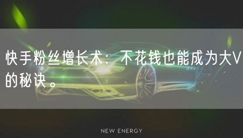 快手粉丝增长术：不花钱也能成为大V的秘诀。