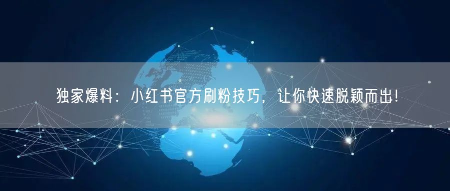 独家爆料：小红书官方刷粉技巧，让你快速脱颖而出！
