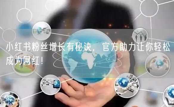 小红书粉丝增长有秘诀，官方助力让你轻松成为网红！
