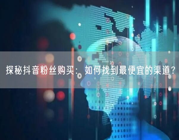 探秘抖音粉丝购买：如何找到最便宜的渠道？