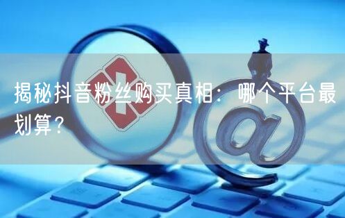 揭秘抖音粉丝购买真相：哪个平台最划算？