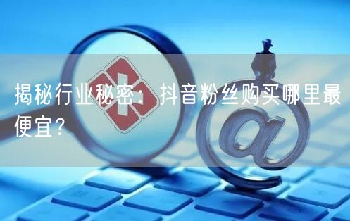 揭秘行业秘密：抖音粉丝购买哪里最便宜？