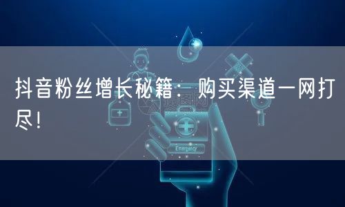抖音粉丝增长秘籍：购买渠道一网打尽！