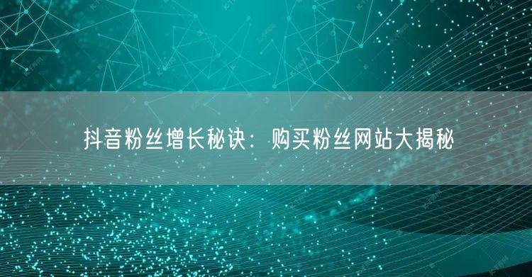 抖音粉丝增长秘诀：购买粉丝网站大揭秘