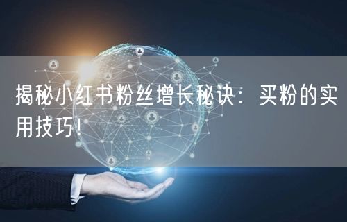 揭秘小红书粉丝增长秘诀：买粉的实用技巧！