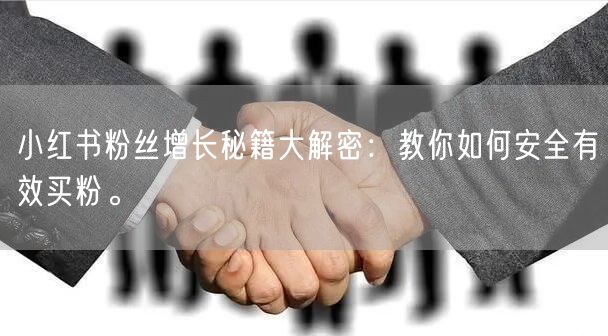 小红书粉丝增长秘籍大解密：教你如何安全有效买粉。