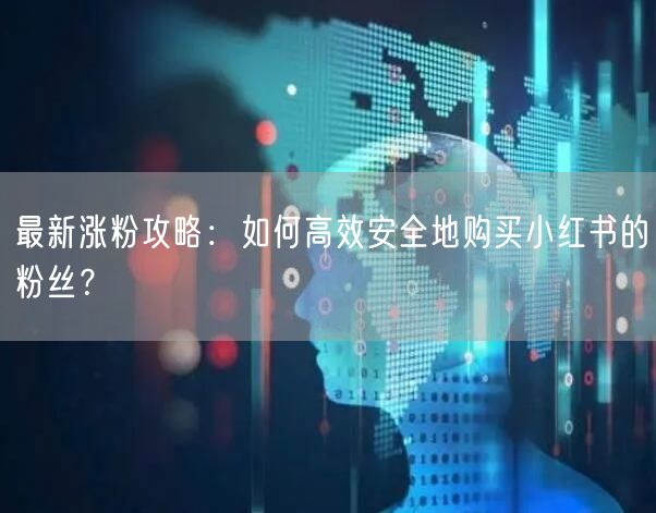 最新涨粉攻略：如何高效安全地购买小红书的粉丝？