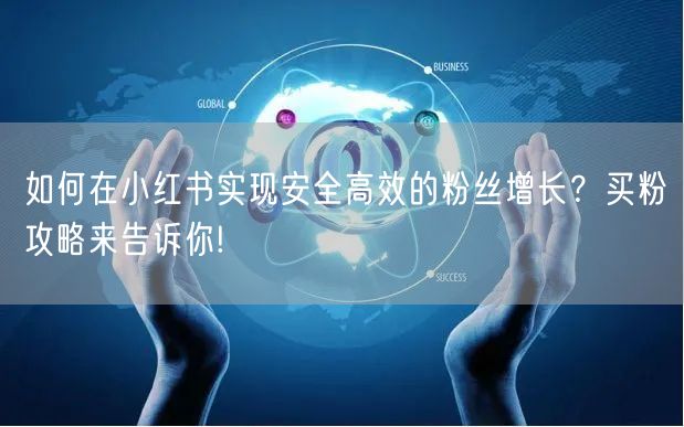 如何在小红书实现安全高效的粉丝增长？买粉攻略来告诉你!
