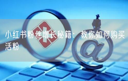 小红书粉丝增长秘籍：教你如何购买活粉