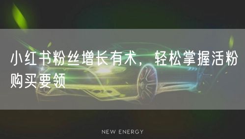 小红书粉丝增长有术，轻松掌握活粉购买要领