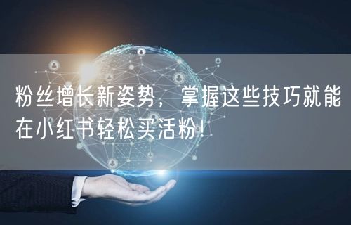 粉丝增长新姿势，掌握这些技巧就能在小红书轻松买活粉！