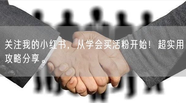 关注我的小红书，从学会买活粉开始！超实用攻略分享。