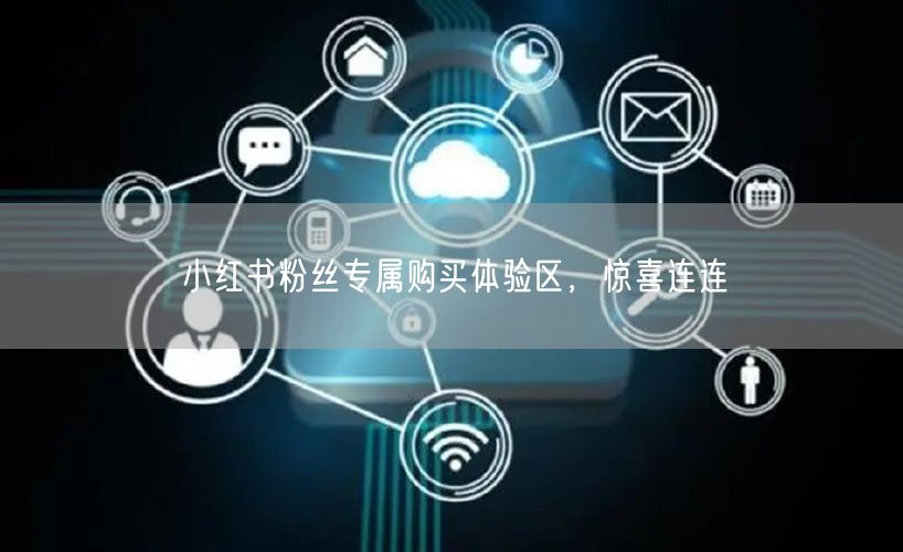 小红书粉丝专属购买体验区，惊喜连连