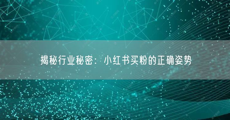 揭秘行业秘密：小红书买粉的正确姿势