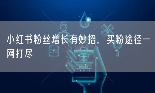 小红书粉丝增长有妙招，买粉途径一网打尽