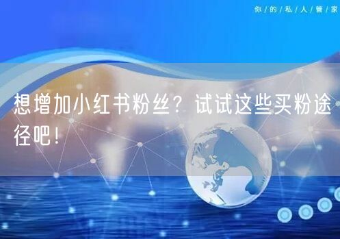 想增加小红书粉丝？试试这些买粉途径吧！