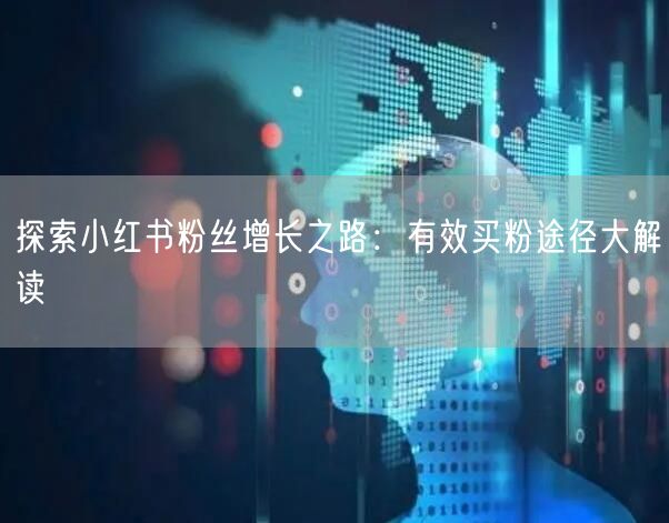 探索小红书粉丝增长之路：有效买粉途径大解读