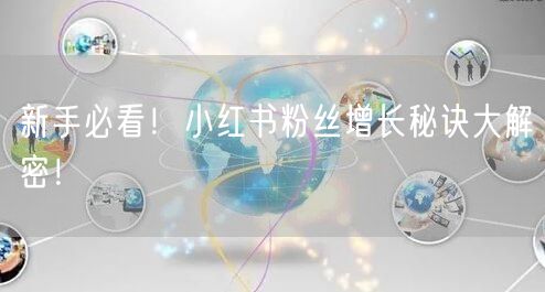 新手必看！小红书粉丝增长秘诀大解密！