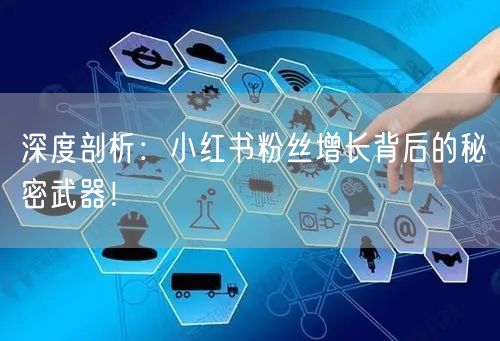 深度剖析：小红书粉丝增长背后的秘密武器！