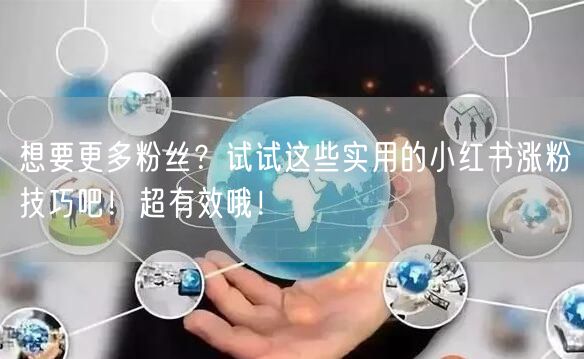 想要更多粉丝？试试这些实用的小红书涨粉技巧吧！超有效哦！