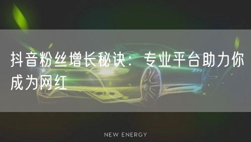 抖音粉丝增长秘诀：专业平台助力你成为网红