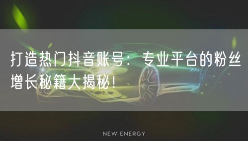打造热门抖音账号：专业平台的粉丝增长秘籍大揭秘！