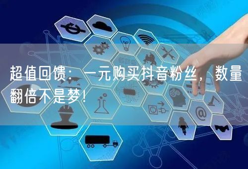 超值回馈：一元购买抖音粉丝，数量翻倍不是梦！