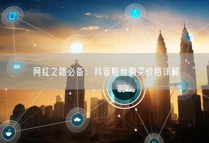 网红之路必备：抖音粉丝购买价格详解