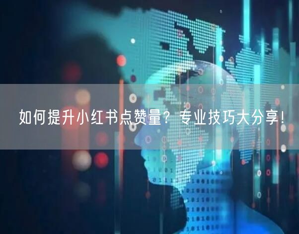 如何提升小红书点赞量？专业技巧大分享！