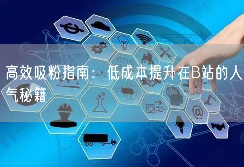 高效吸粉指南：低成本提升在B站的人气秘籍