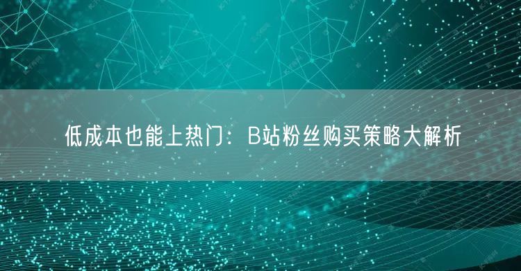 低成本也能上热门：B站粉丝购买策略大解析