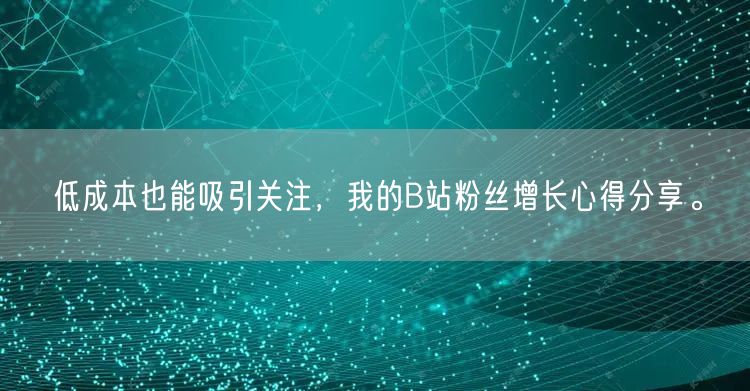 低成本也能吸引关注，我的B站粉丝增长心得分享。
