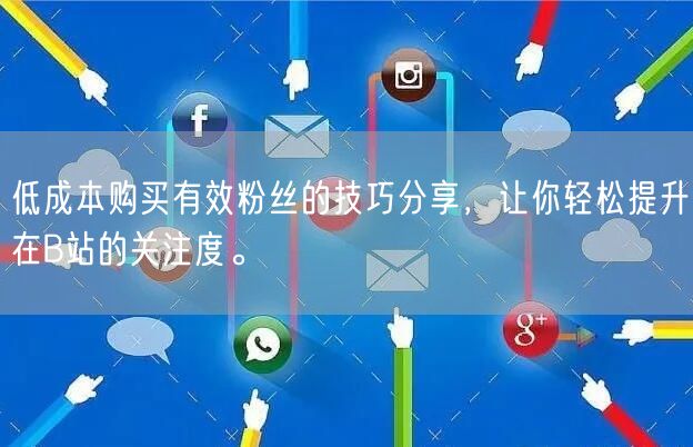 低成本购买有效粉丝的技巧分享，让你轻松提升在B站的关注度。