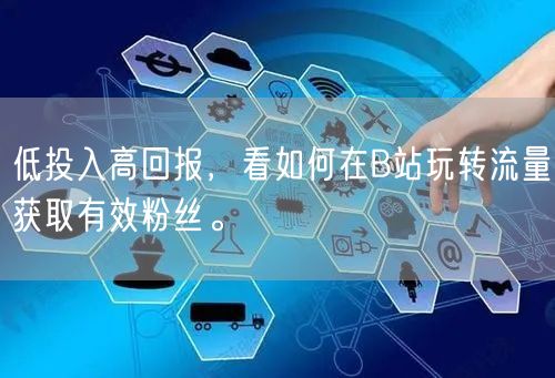 低投入高回报，看如何在B站玩转流量获取有效粉丝。