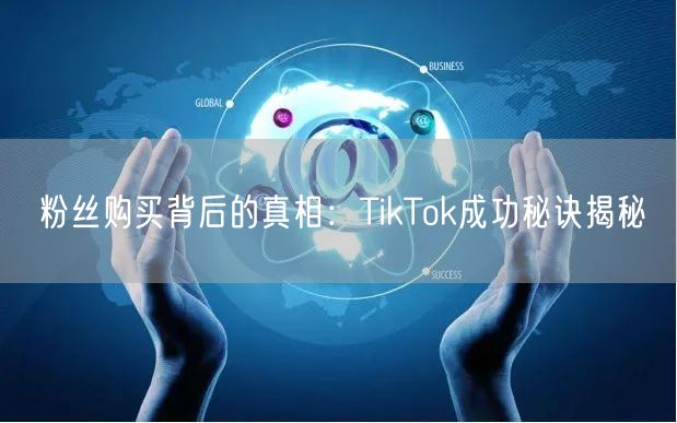 粉丝购买背后的真相：TikTok成功秘诀揭秘
