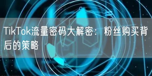 TikTok流量密码大解密：粉丝购买背后的策略