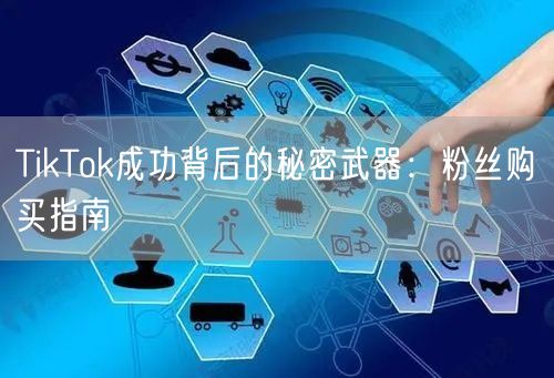TikTok成功背后的秘密武器：粉丝购买指南